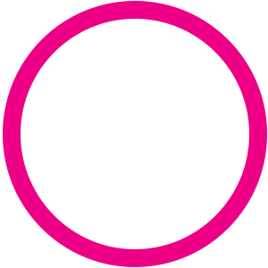 Sixty Five Percent Icon