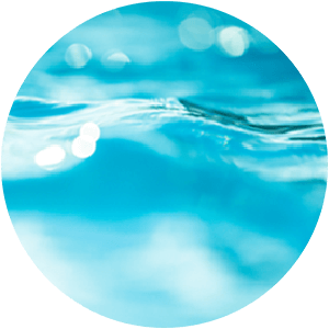 Ingredient - Hyaluronic Acid