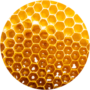 Ingredient - Manuka Honey