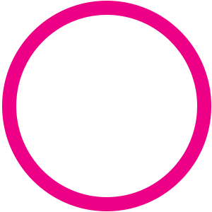 Check Mark Icon
