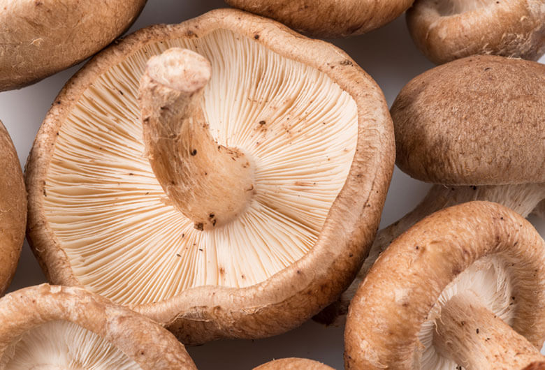 shiitake mushroom skin