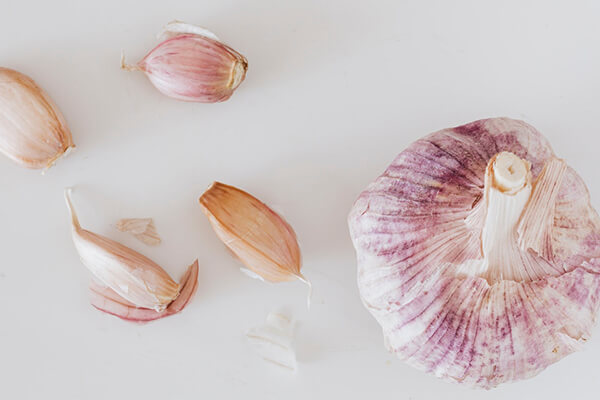 garlic