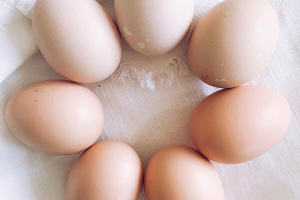 eggs