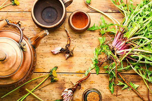 dandelion root