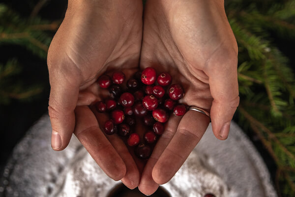 handful of cranberries