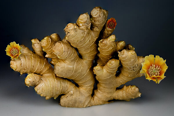 ginger