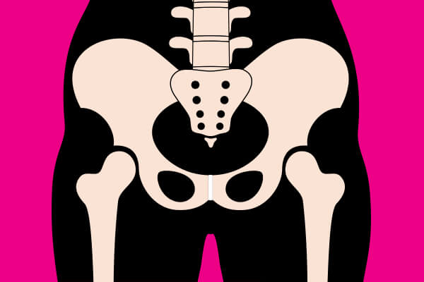 hip diagram