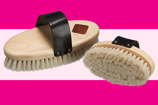 body brush