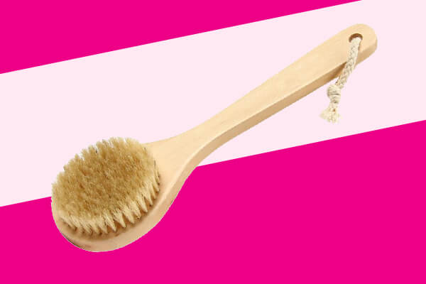 long handle body brush