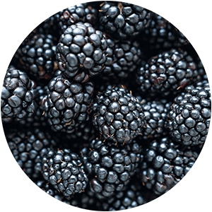 Sculpup ingredient