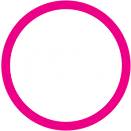 65 Sixty Five Percent Icon