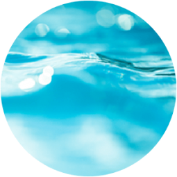 ing-hyaluronicacid Ingredient - Hyaluronic Acid