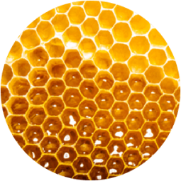 ing-manuka Ingredient - Manuka Honey