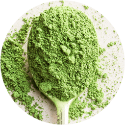 ing-matcha Ingredient - Matcha