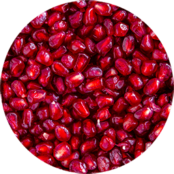 ing-pomegranate pomegranate icon